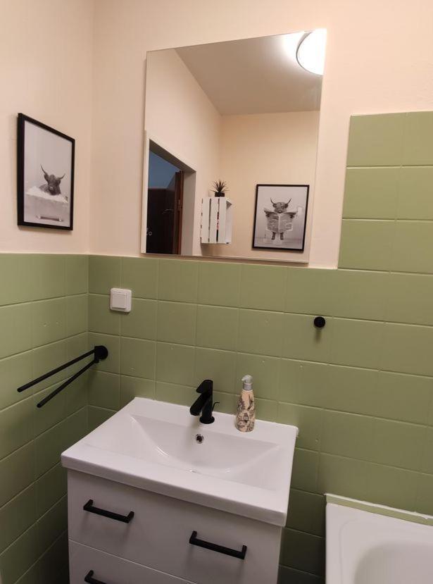 Ferienwohnung Harzluchs Mit Balkon, Netflix Und Sauna Im Haus Hohegeiß Extérieur photo