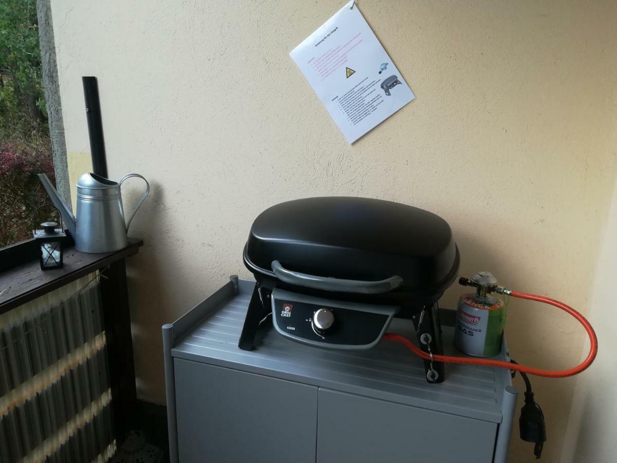 Ferienwohnung Harzluchs Mit Balkon, Netflix Und Sauna Im Haus Hohegeiß Extérieur photo